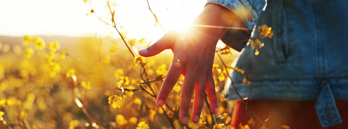 Vertiefungsseminar: Psychodynamisch Imaginative Traumatherapie PITT nach Reddemann