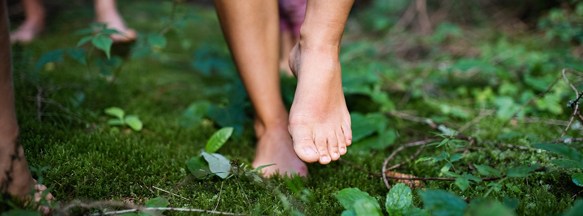 Waldbaden (Shinrin Yoku) in Theorie und Praxis