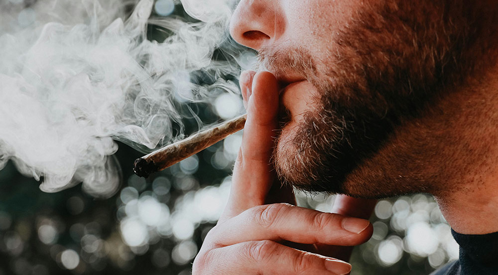 Sinn und Unsinn einer Cannabis­legalisierung