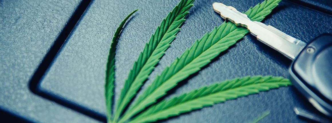 Cannabisentkriminalisierung und MPU