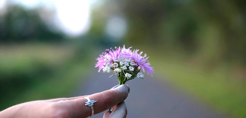Eine Hand hält einen Mini-Blumenstrauß aus Wildblumen.