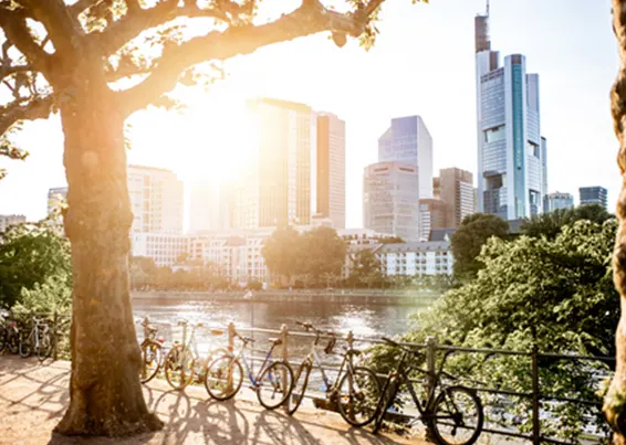 orte-frankfurt-sommer-ross-helen