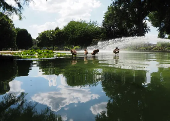 orte-koeln-wasser-hay-wof